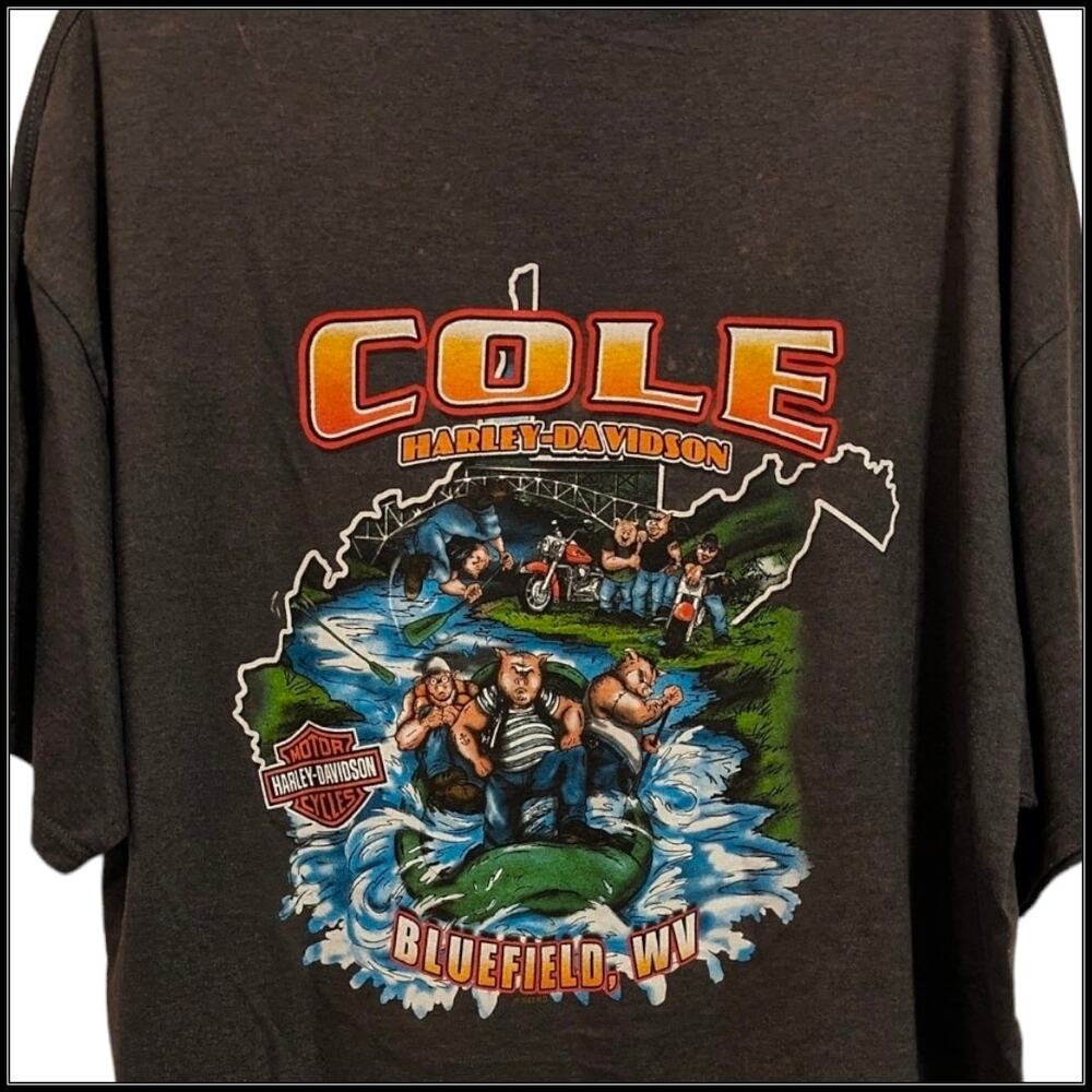 HARLEY DAVIDSON Biker Hogs We Salute You T-Shirt WV Men's 2X